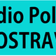 Radio Polna Logo