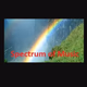 Spectrum of Music Logo