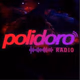 Polidoro FM Logo