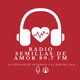 Radio Semillas de Amor Logo