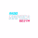 Napoca FM Logo