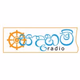 The Radio Network - Sadaham Radio Logo