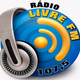 Rádio Livre FM Logo