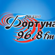 Радио Фортуна Logo
