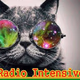 Radio Intensiva 24h Logo