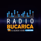 Radio Bucarica Logo