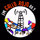 FM Gallo Rojo 88.7 Logo