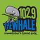 102.9 The Whale - WDRC-FM Logo