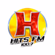 Hits FM Logo