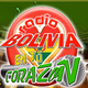 Rádio Bolivia En Tu Corazon Logo
