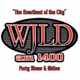 104.1 FM WJLD - WJLD Logo