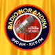 Radio Nor Andina Logo