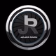 Julian Radio Logo