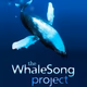 WhaleSong Project Logo