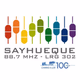 Radio Sayhueque Logo
