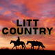 Litt Live - Country Logo