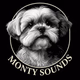 Monty Sounds Radio Logo