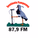 Rádio Sentinela Pampeana Logo