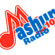 Mashup 102 Radio Logo