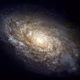 StarTalk Radio Logo