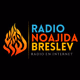 CNBI Radio Logo