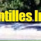 Radio Antilles Internationale Logo