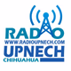 Radio UPNECH Logo