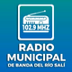 Radio Municipal Logo