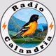 Radio Calandria Logo
