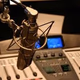 RADIO ECHOS DE SION FM Logo