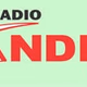 Radio Andina Logo