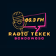 Tekek FM Bondowoso Logo