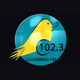 Rádio Canarinho Logo