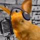 Radio Liebre Jue Logo