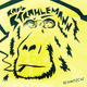 radio-strahlemann Logo