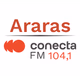 Rádio Conecta 104.1 FM Logo