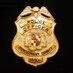 Montgomery County, MA Police Logo
