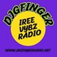 Iree Vybz Radio logo