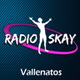 Radio Vallenatos Logo