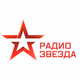 Радио Звезда Logo