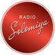 Radio Solomiya Logo