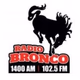 Radio Bronco 1400AM 102.5FM - KUNX Logo