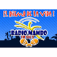 Radio Mambo Logo