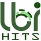 LBI Hits Logo