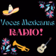 Voces Mexicanas Radio Logo