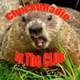 ChuckU At The CLUB Logo