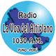 La Voz Del Altiplano logo