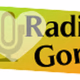 Radio Gorj Logo