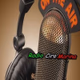KryKey - RadioCiroMarinaPrincipe Logo