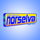 Nor Selva Radio Logo